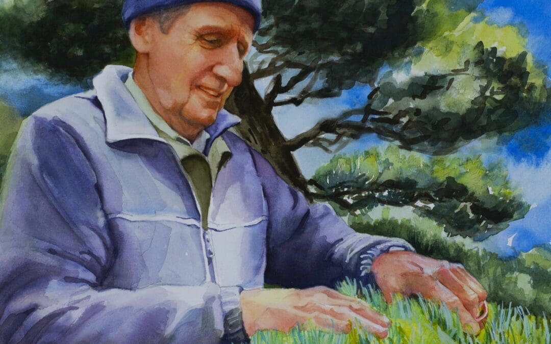 Tending the pines