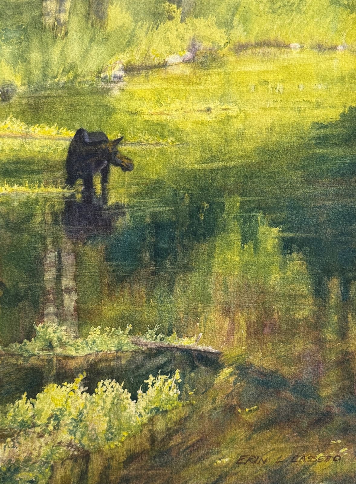 Moose-Spring