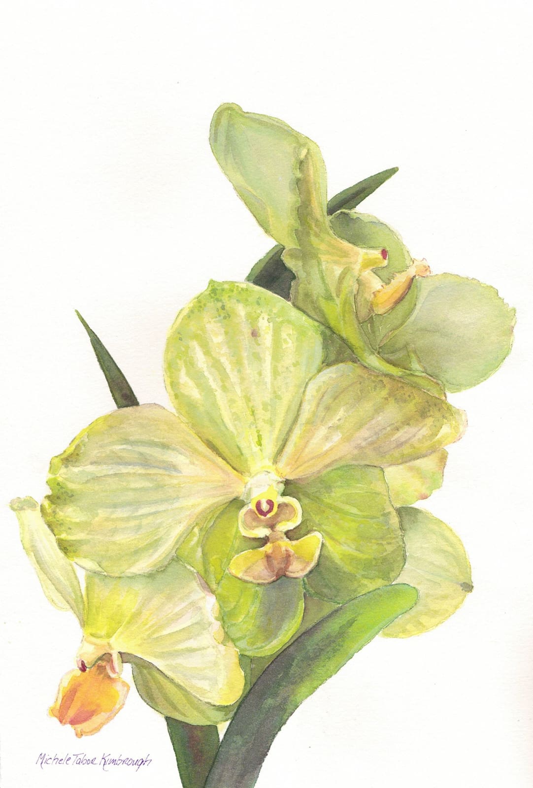 Orchid-5-Michele-Tabor-Kimbrough