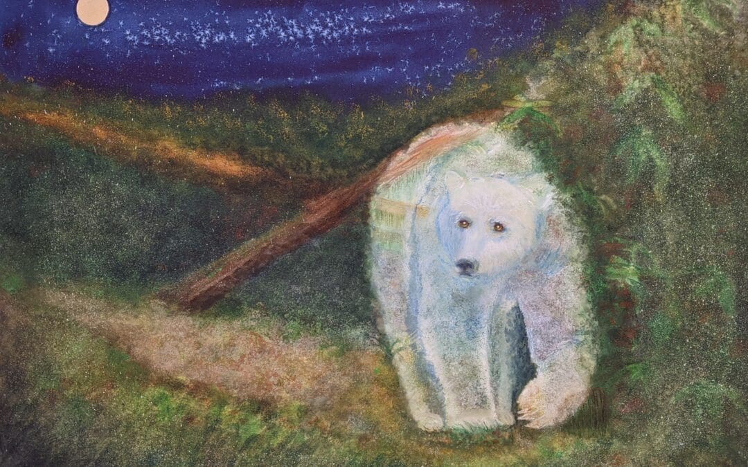 Spirit Bear