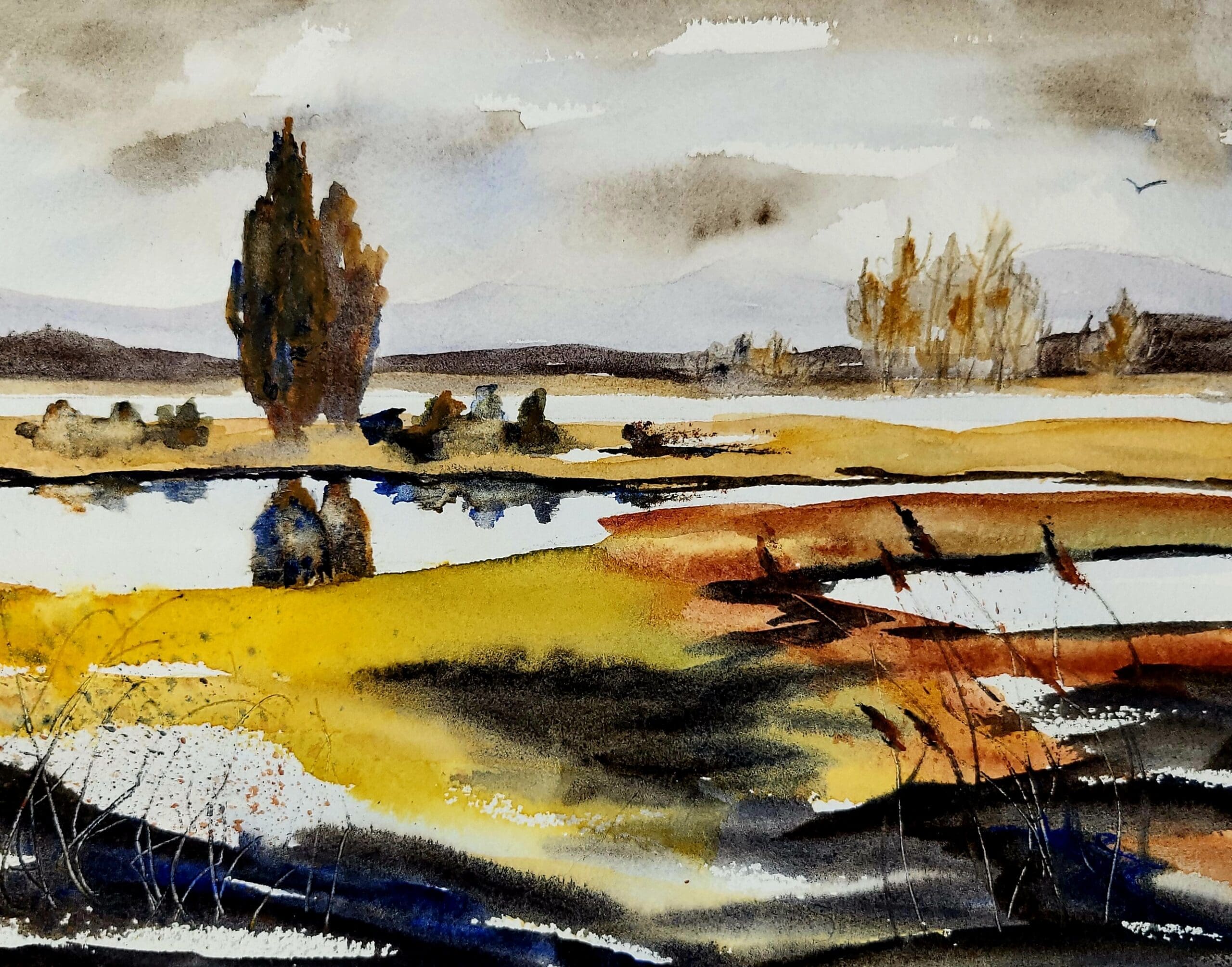 Refuge_Ewing