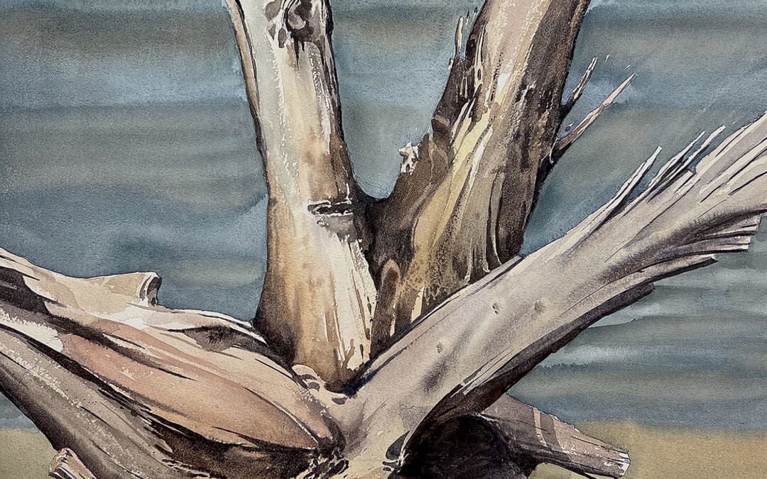 Roots III