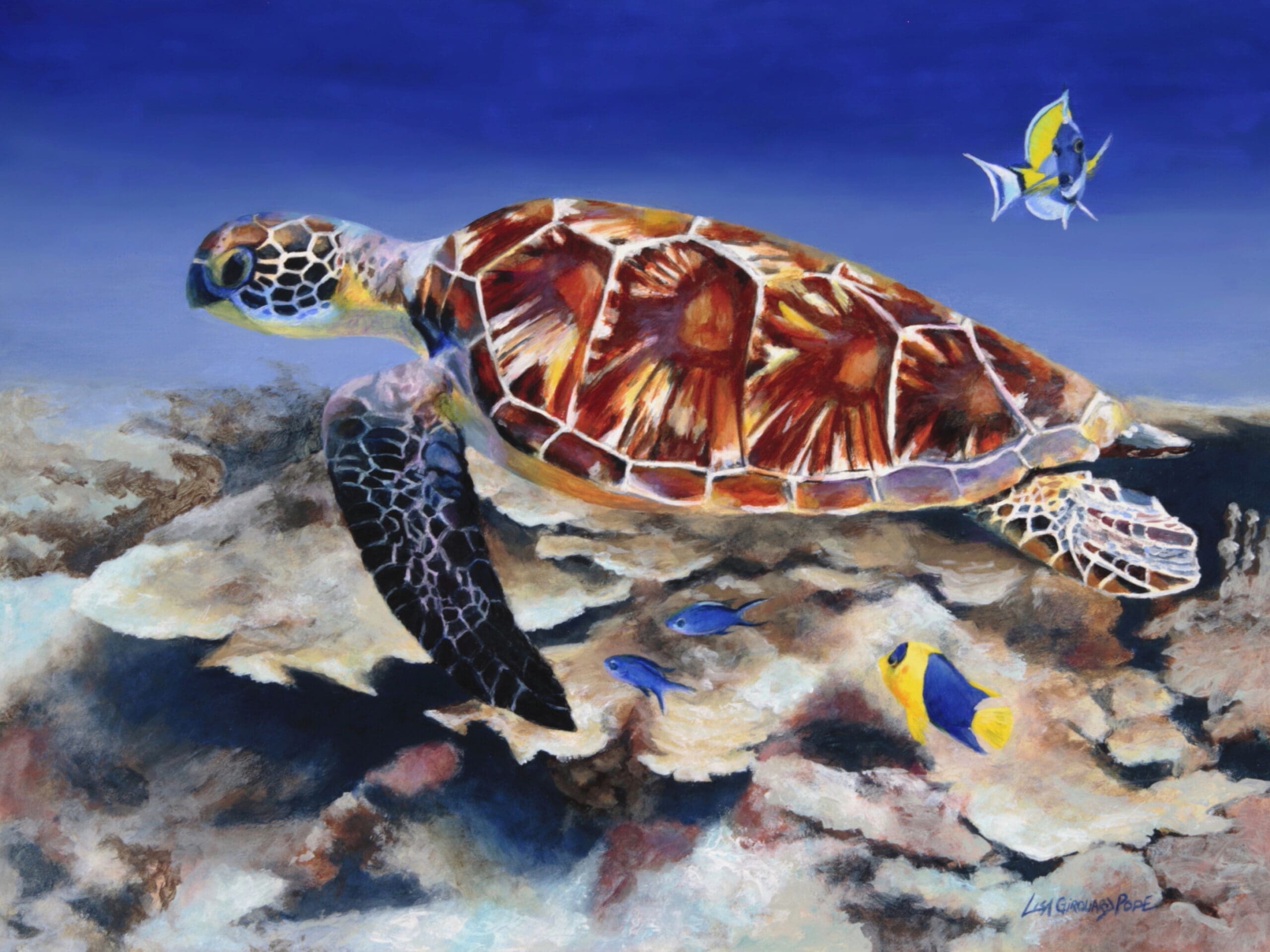 Sea-Turtle