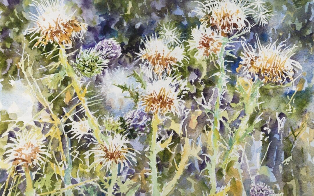 Thistle 2