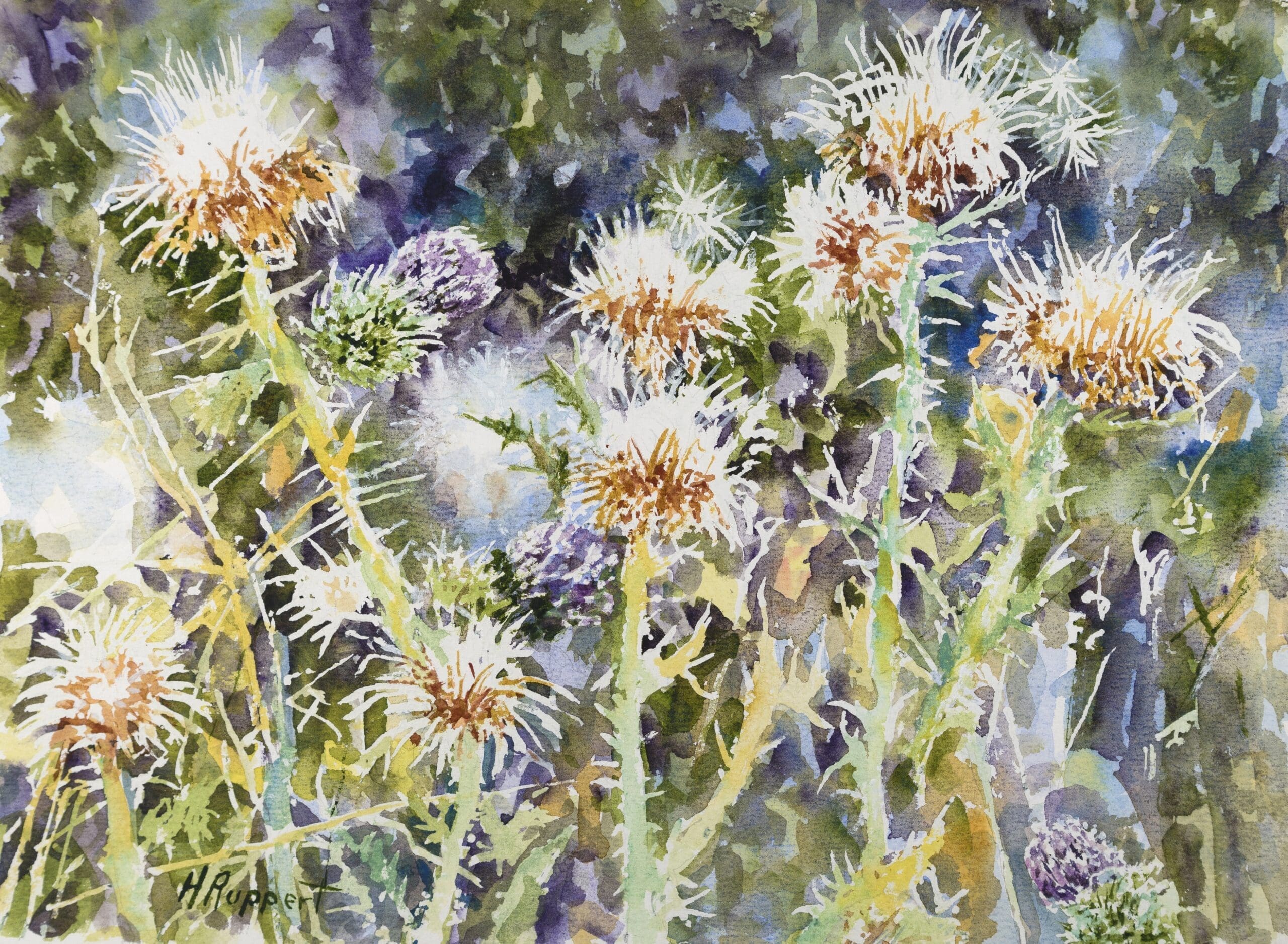 Thistle-2