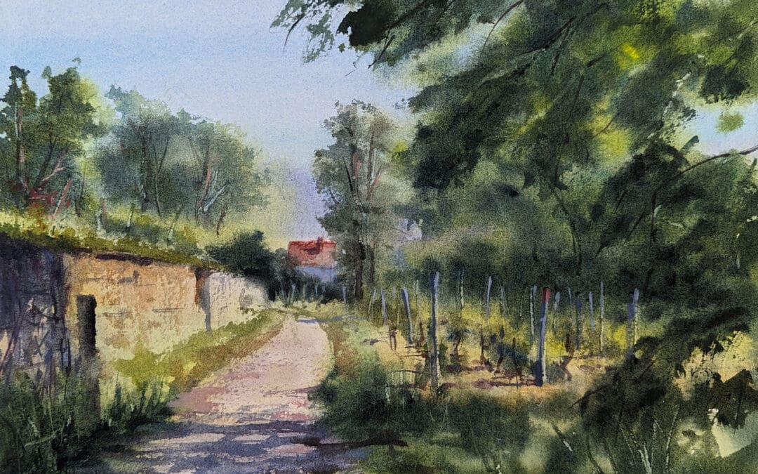 Vineyard Walk