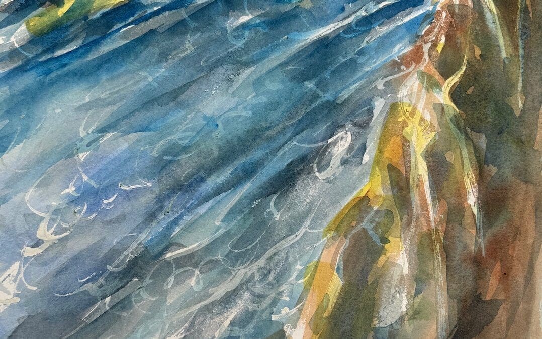 Rocky Shores