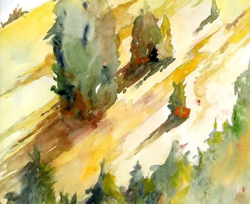 Mountain Meadow