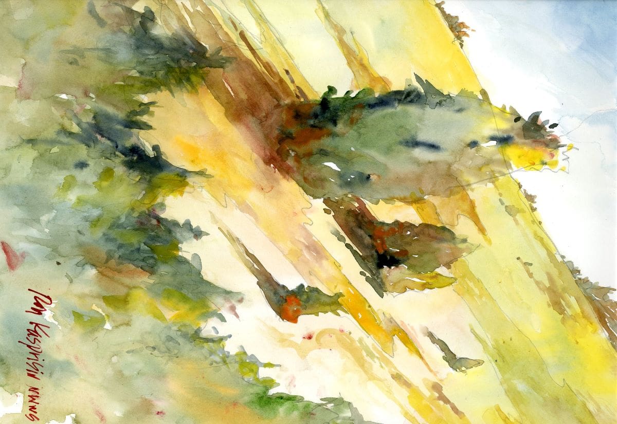 mountain-meadow.jpeg