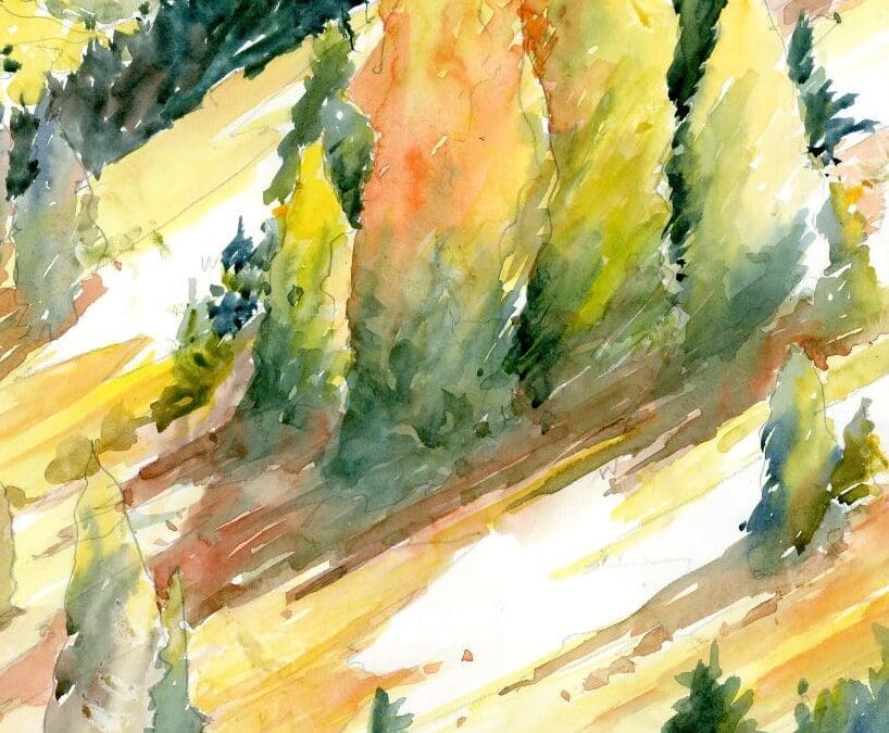 meadow larch