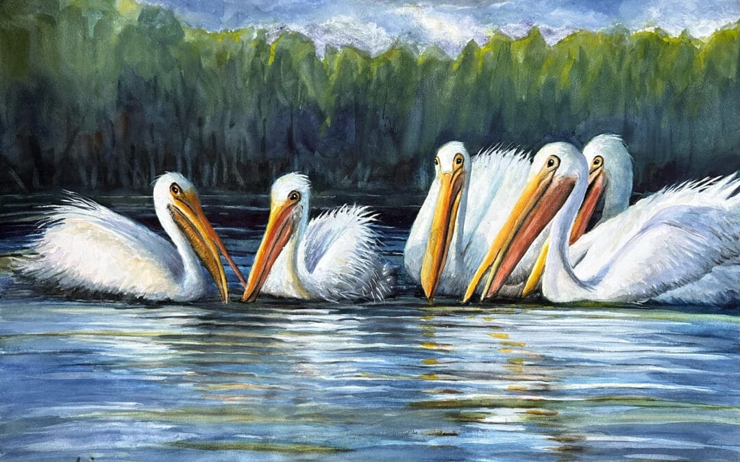 Pelican coffee hour