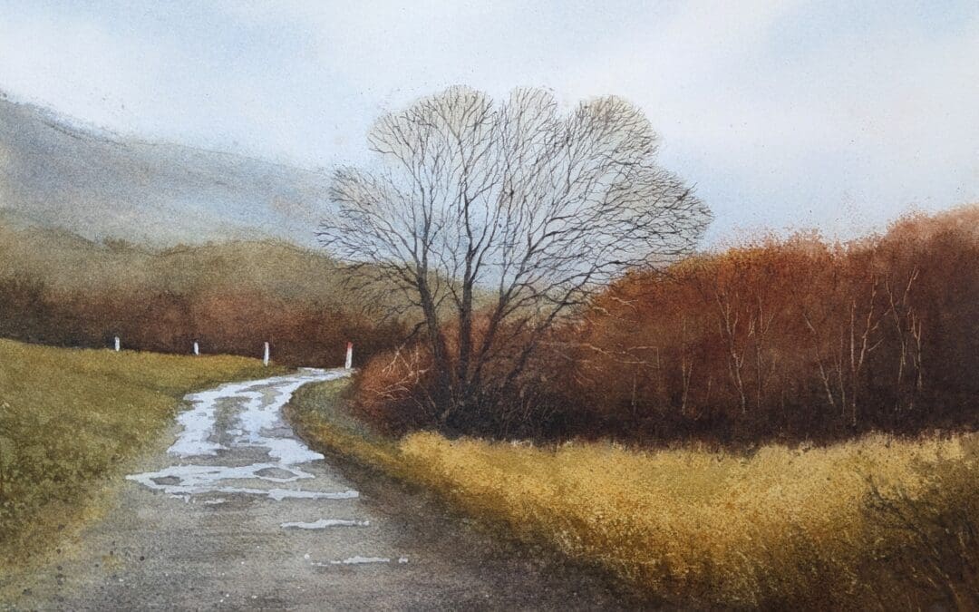 The Road to Anita’s Farm