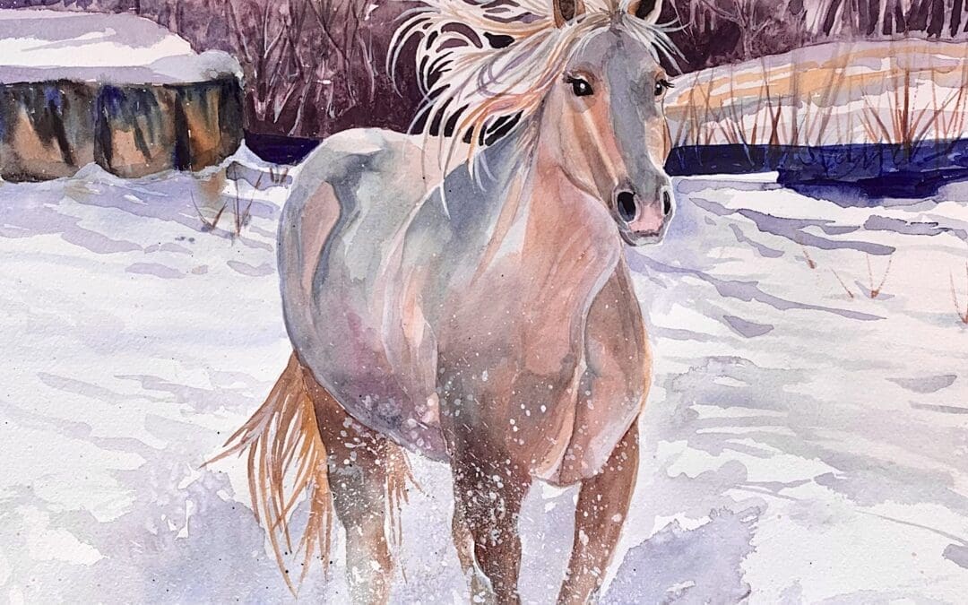 Gallop in the Wild