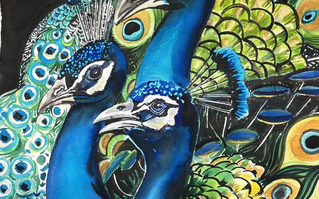 Peacock Flock
