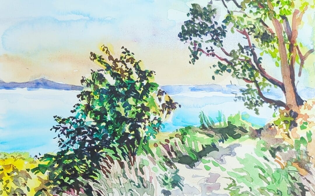 Summer In Discovery Park
