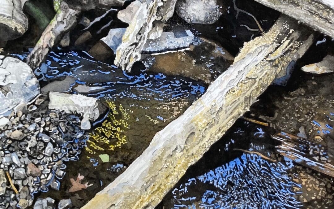 Owl Creek
