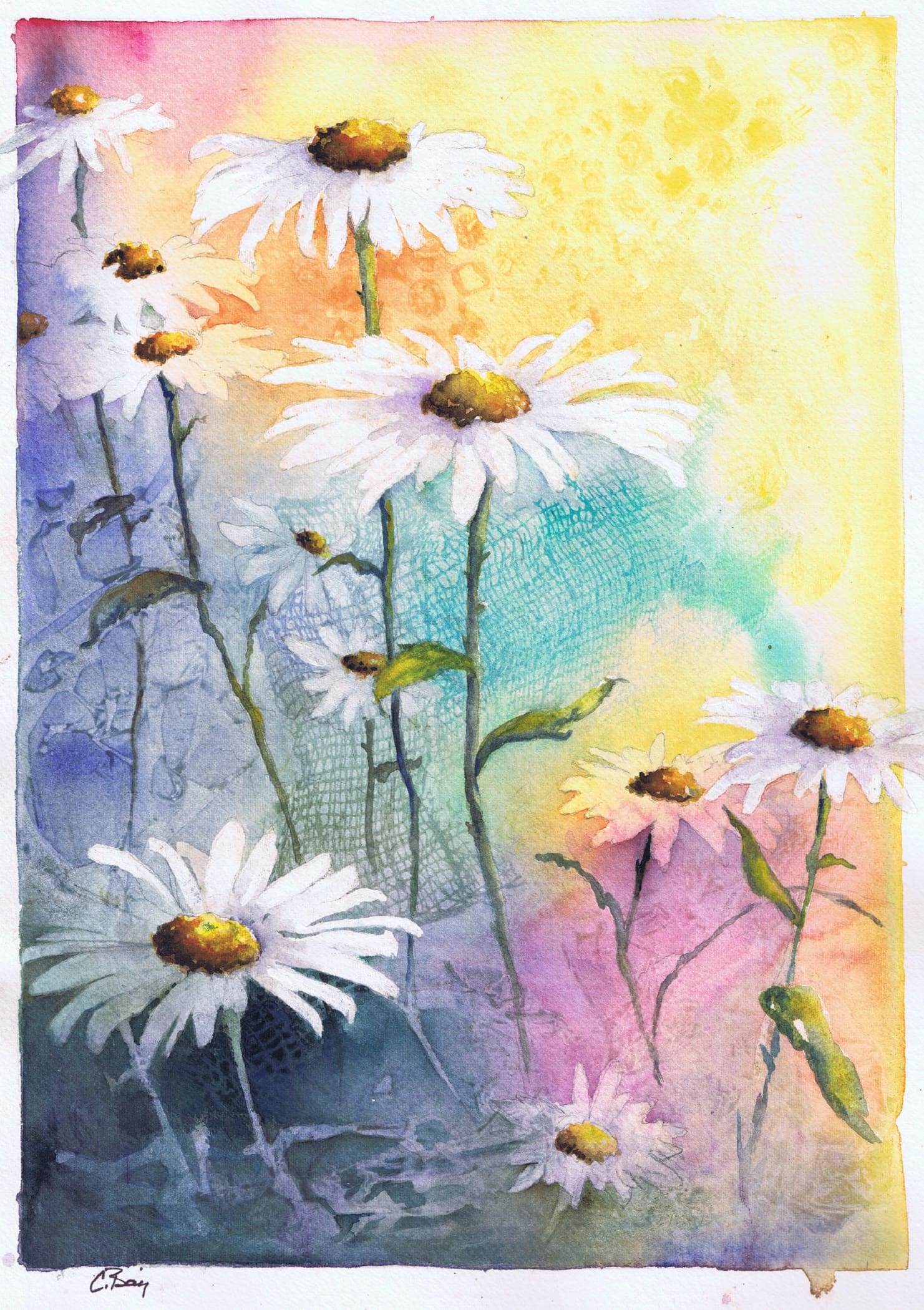 Baij_Spring-Daisies
