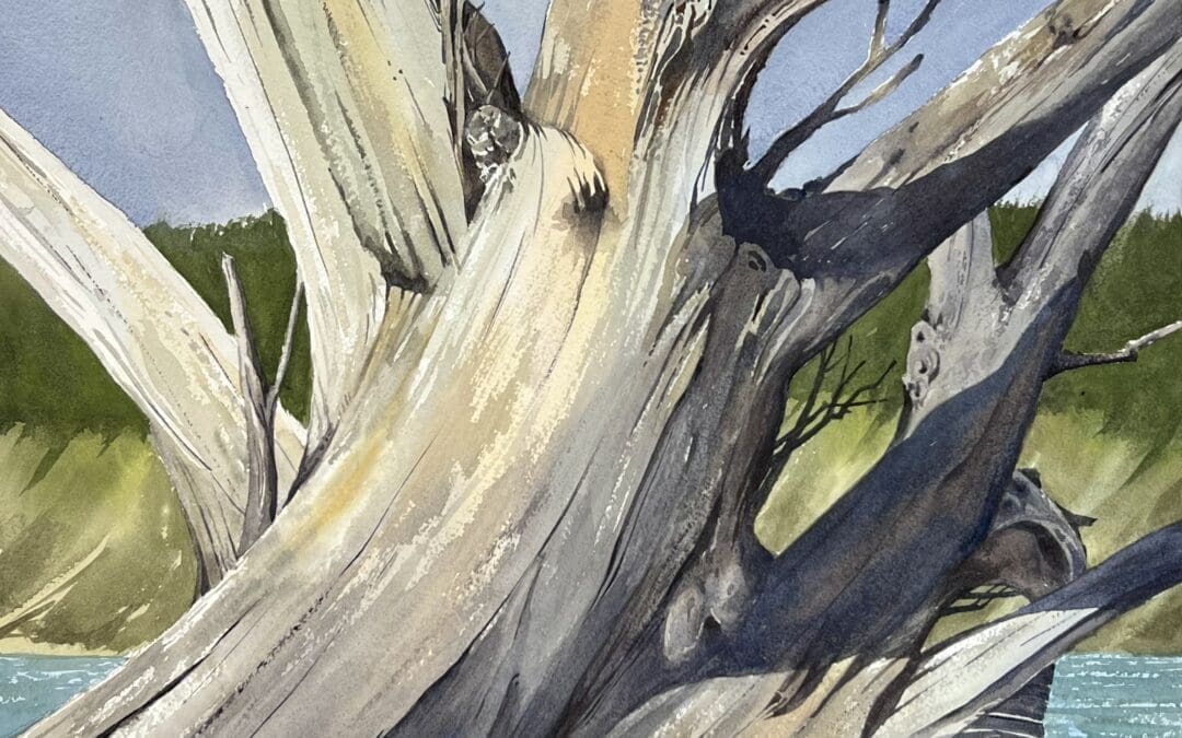 Roots IV