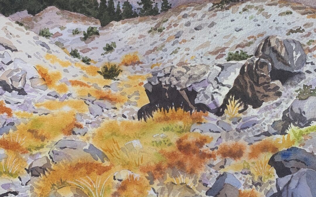 Mount Hood Ravine