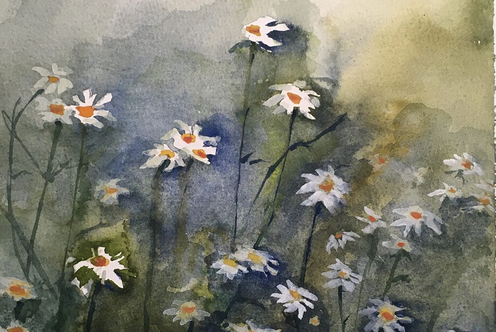 Field of Daisies