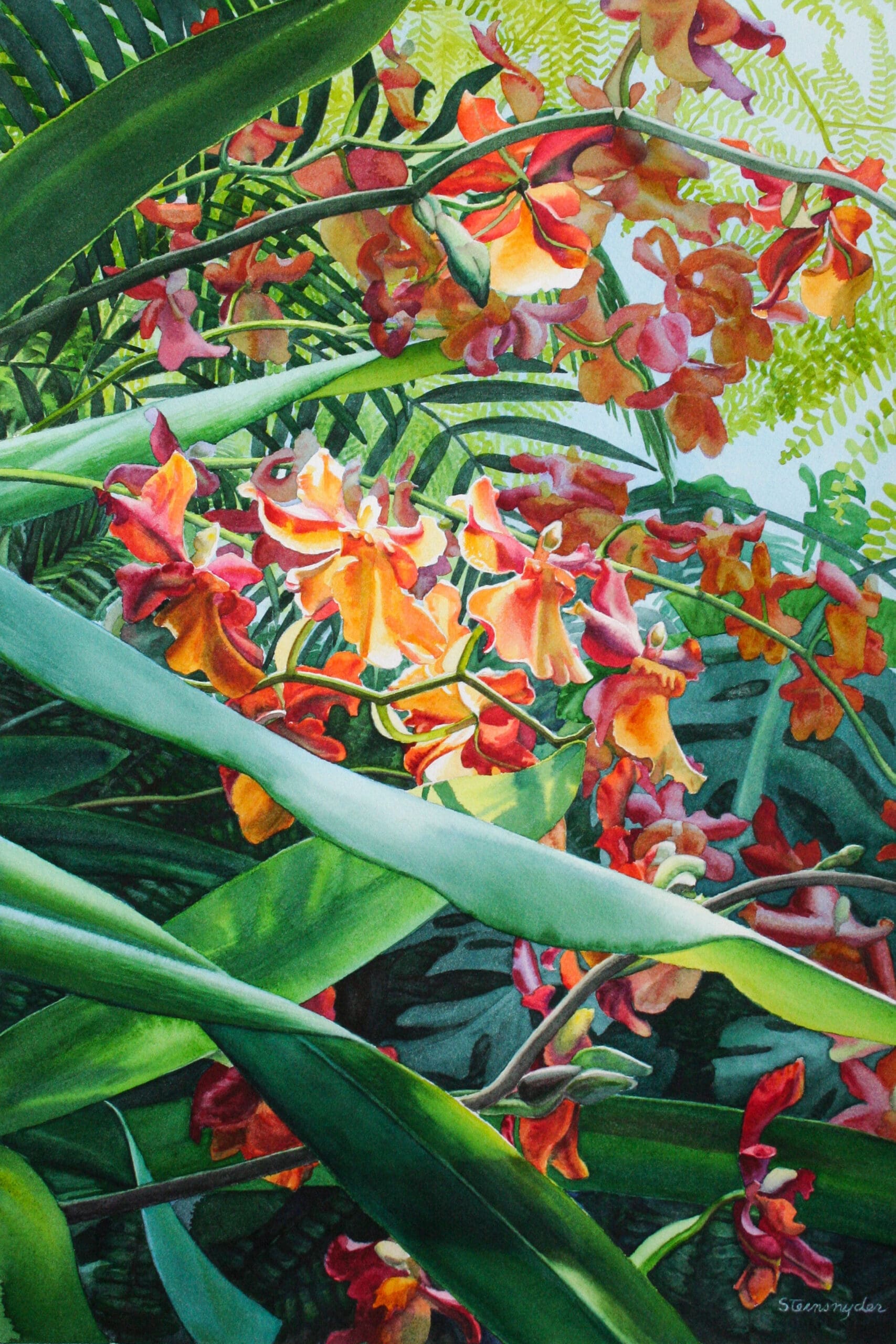 Flock-of-Orchids-2
