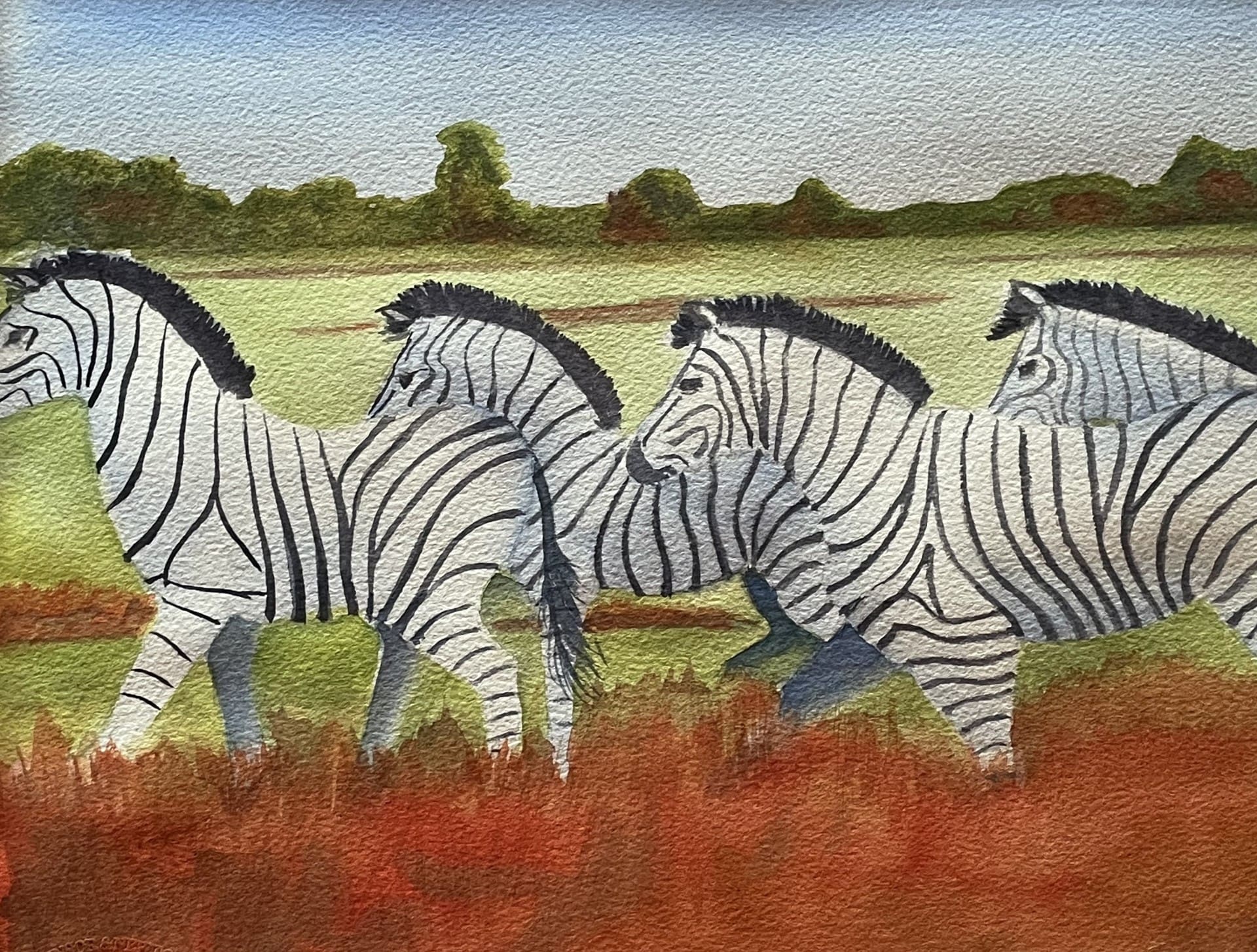 Four-Zebras