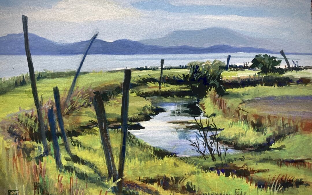 Looking towards Lummi