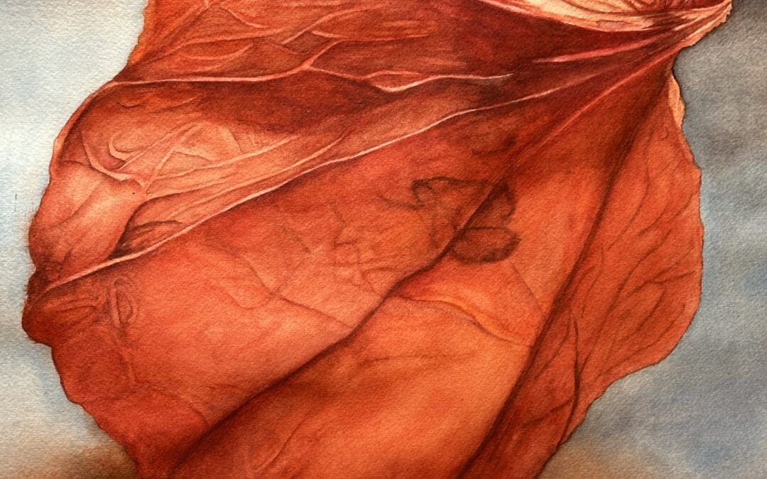 Chinese Lantern