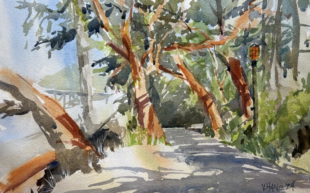 Madrona Light