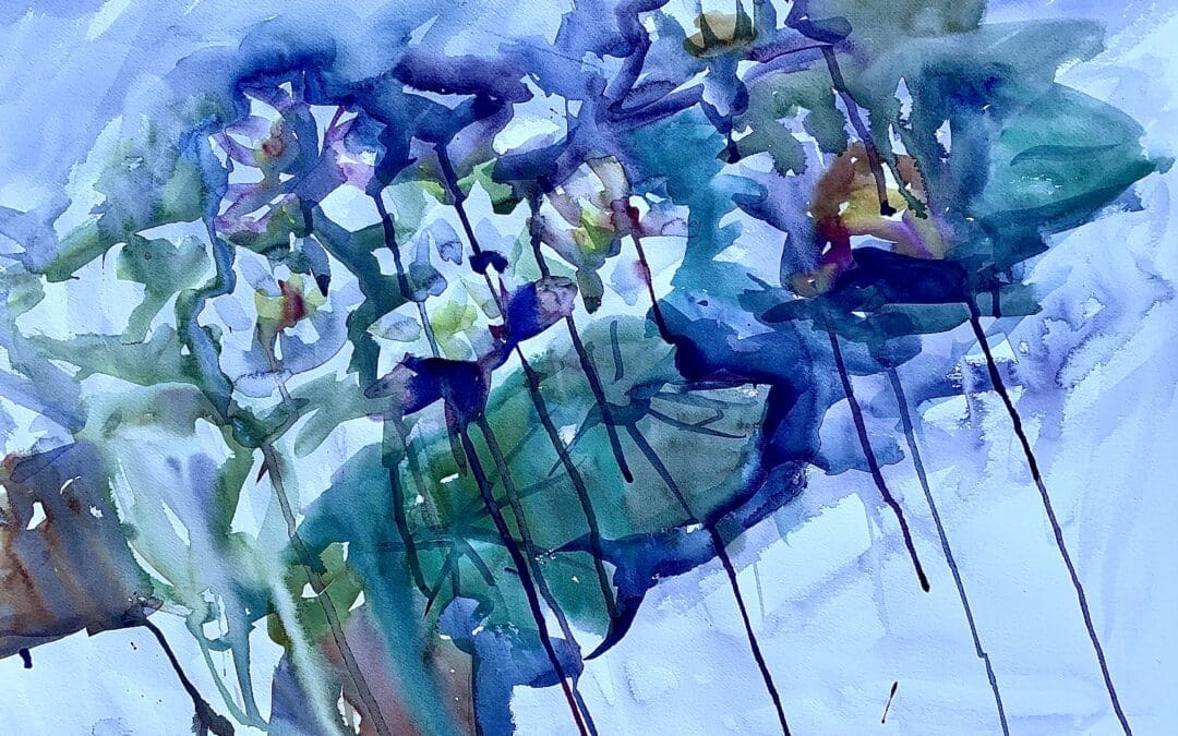 Water Lilies