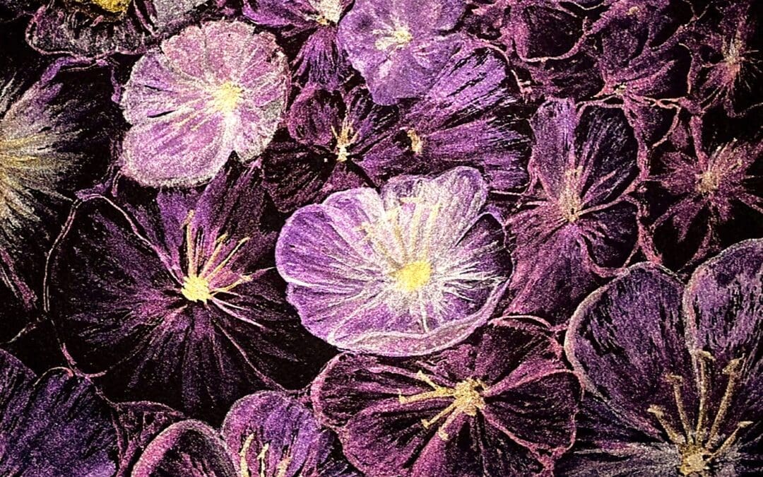 Evening Primrose