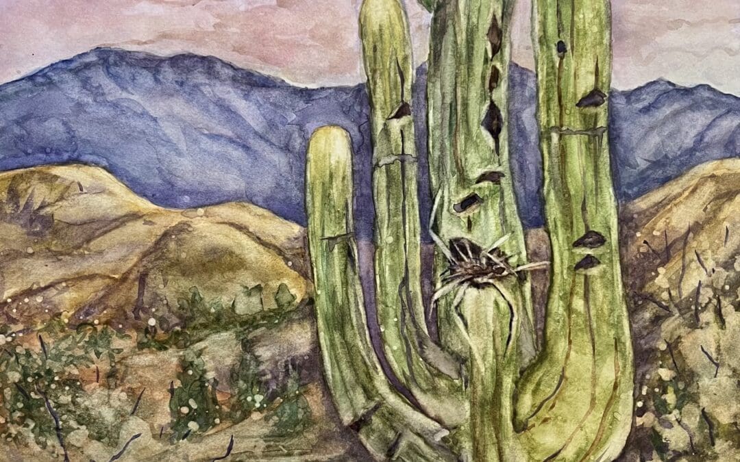 Cactus