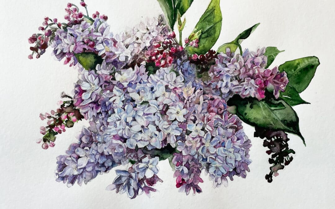 Lilac