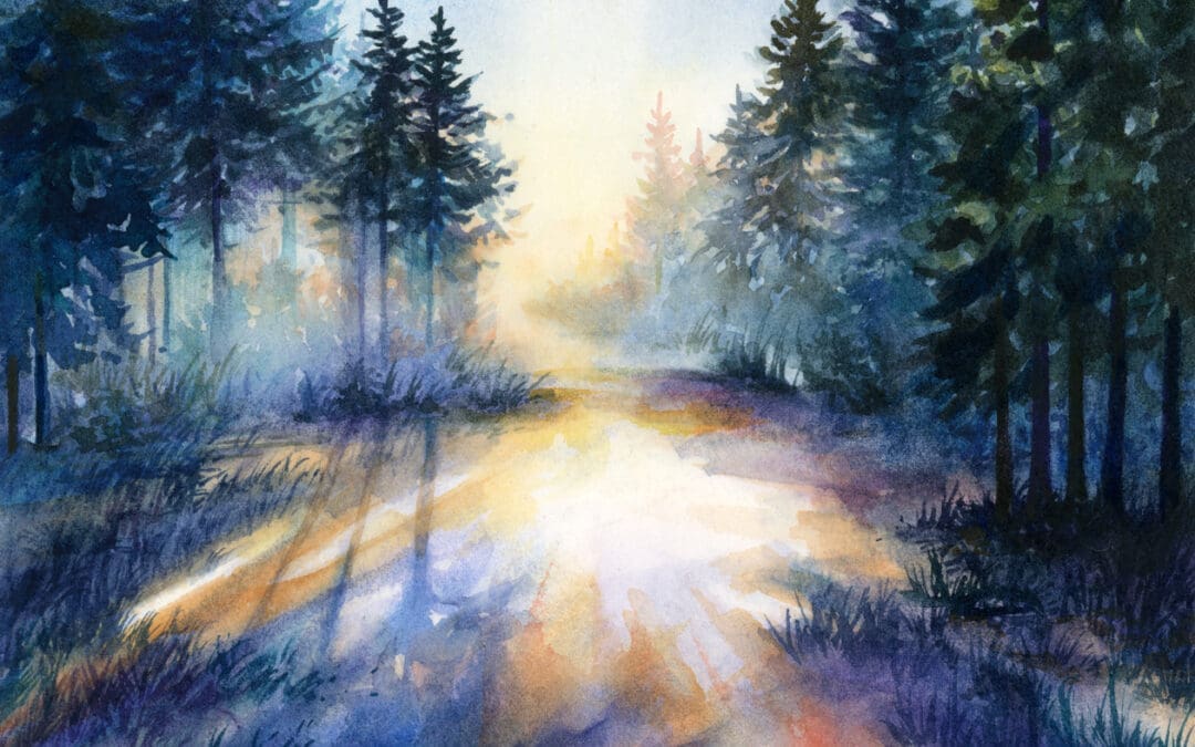 Morning Light