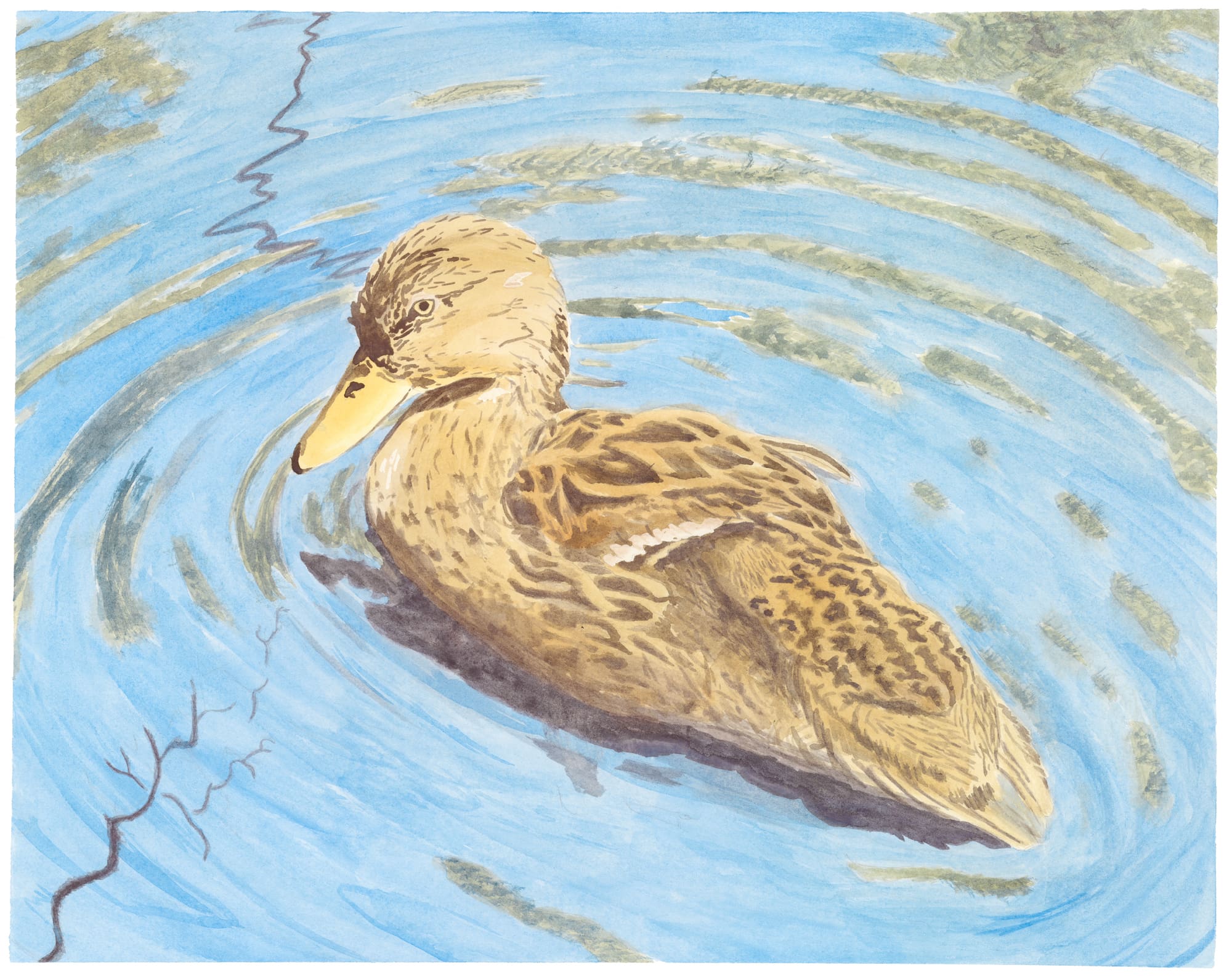 Mother-Duck