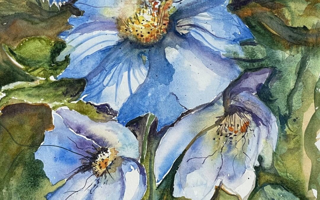 Poppies