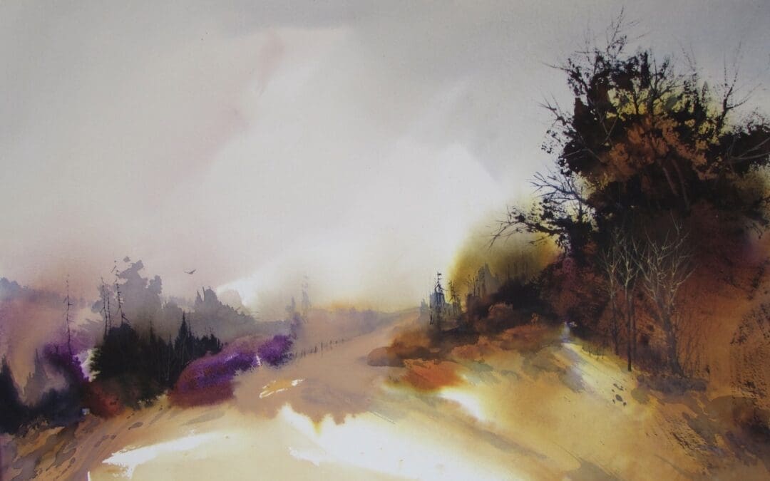 Soft Summer Light