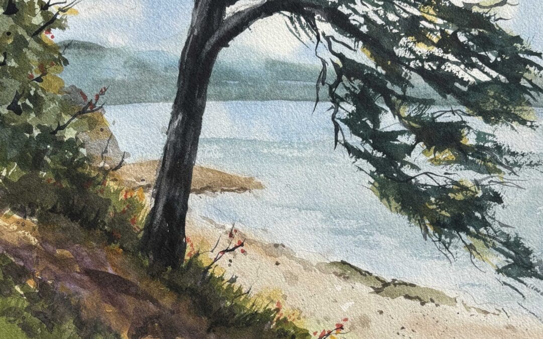 Sucia Island Sentinel