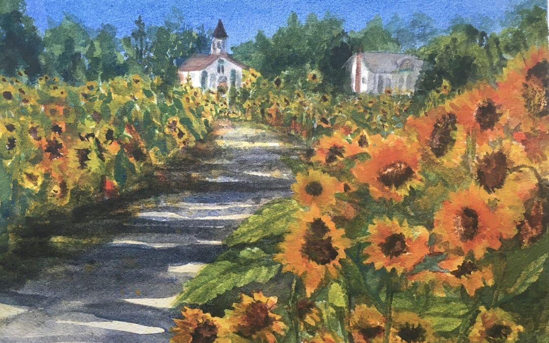 Summer Fields