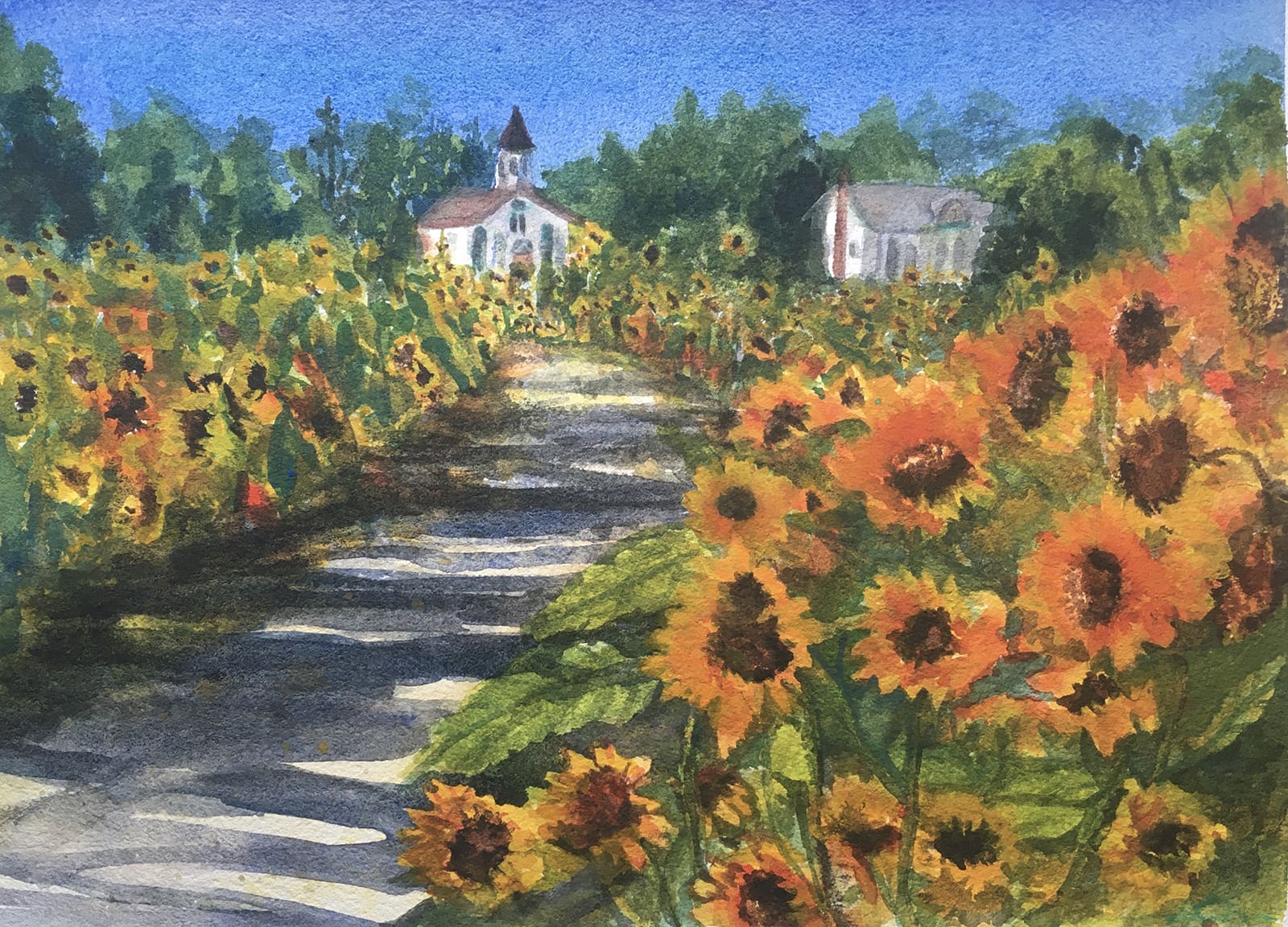 Summer-Fields-