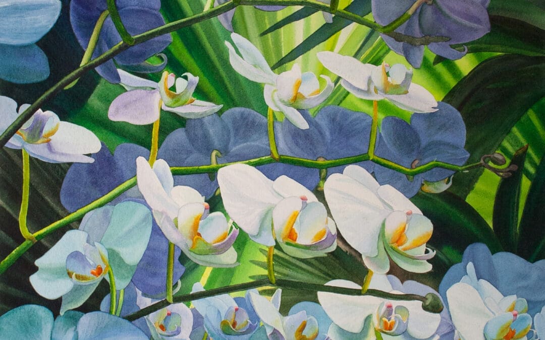 Tilt-a-Whirl Orchids
