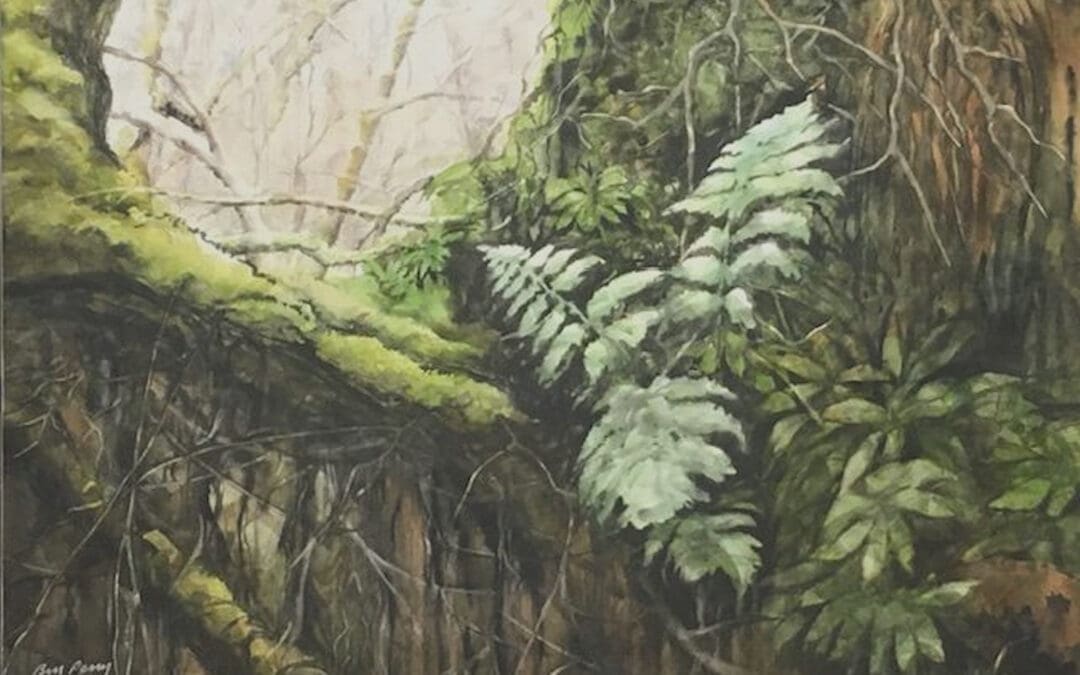 UNDERGROWTH