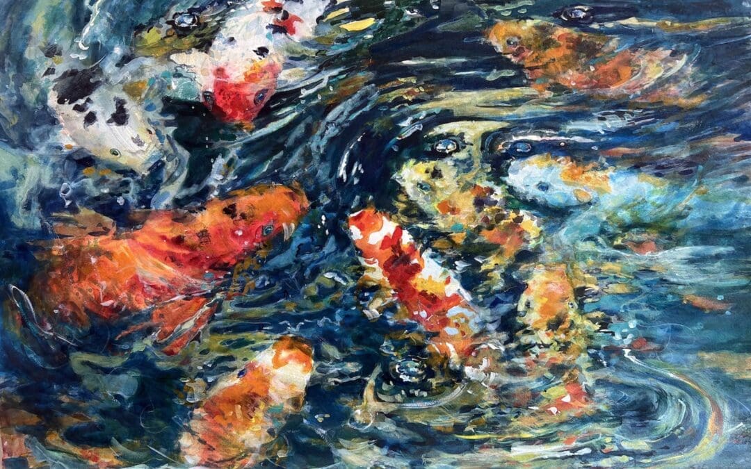 Koi