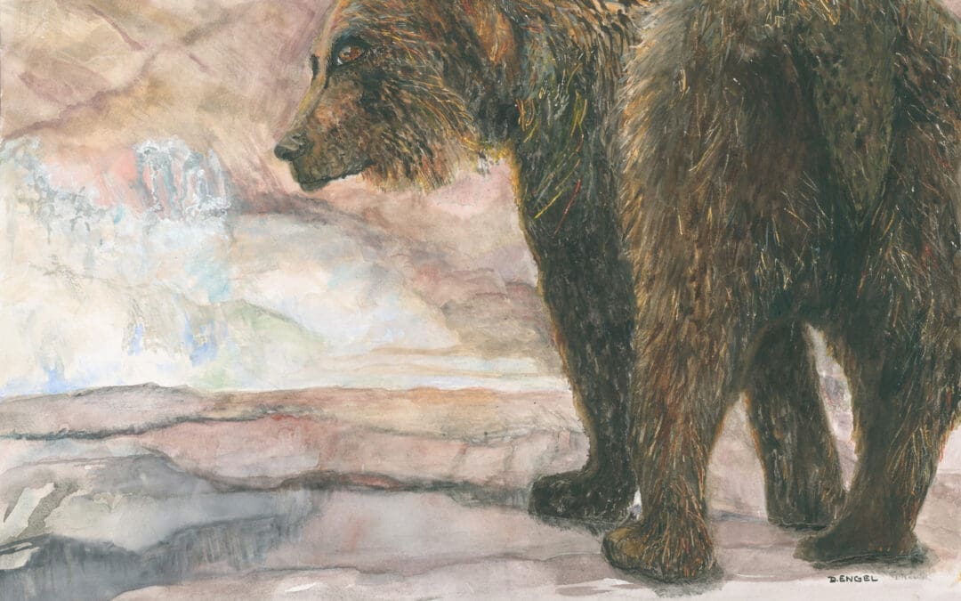 Bear Glare
