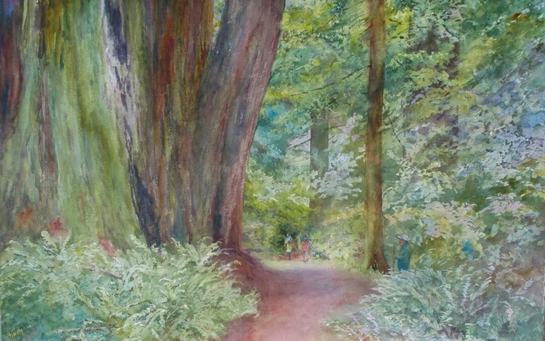Perspective (Redwoods 1)