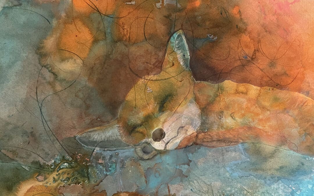 Sleeping Fox