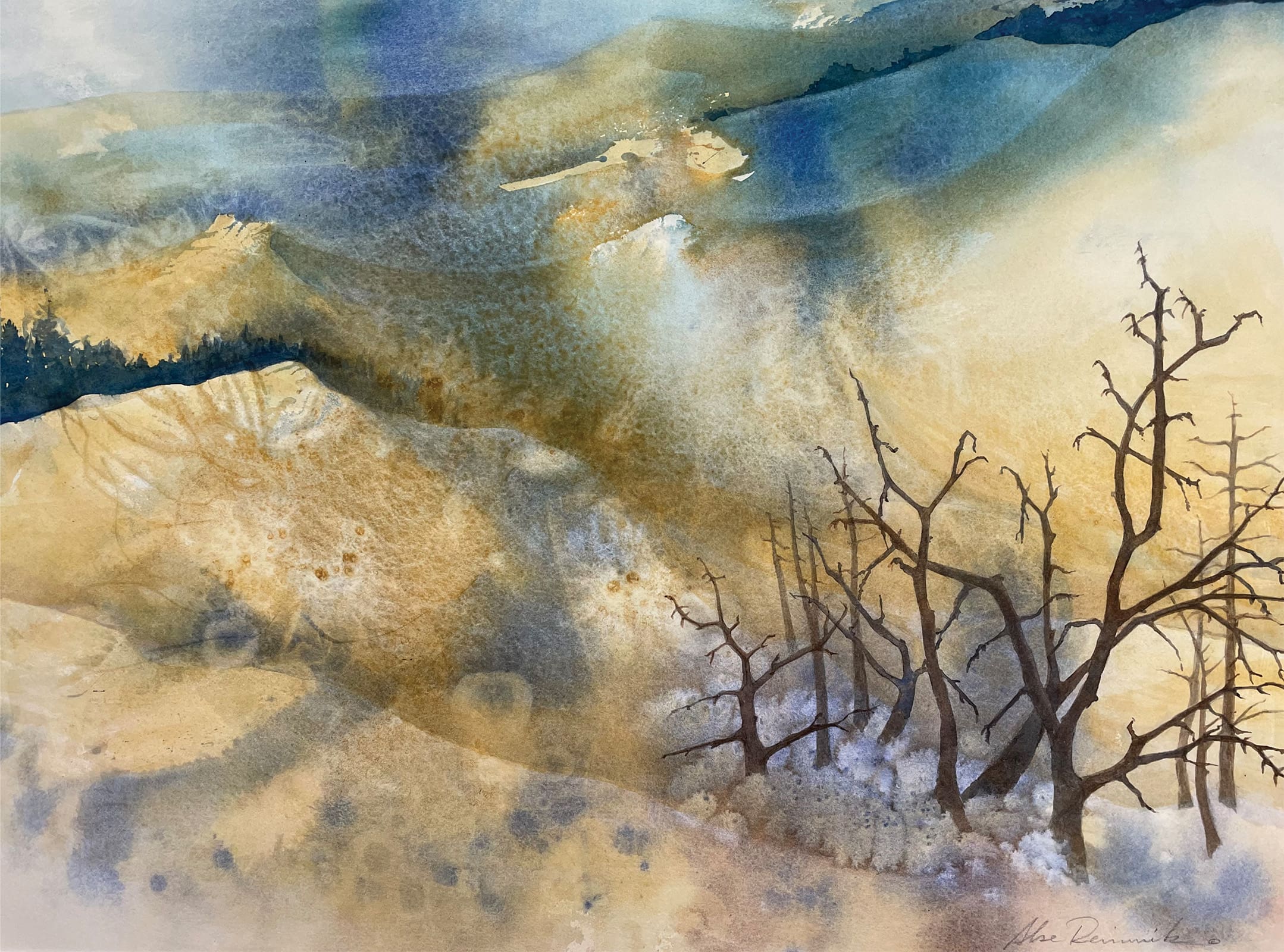 CoastalDunes
