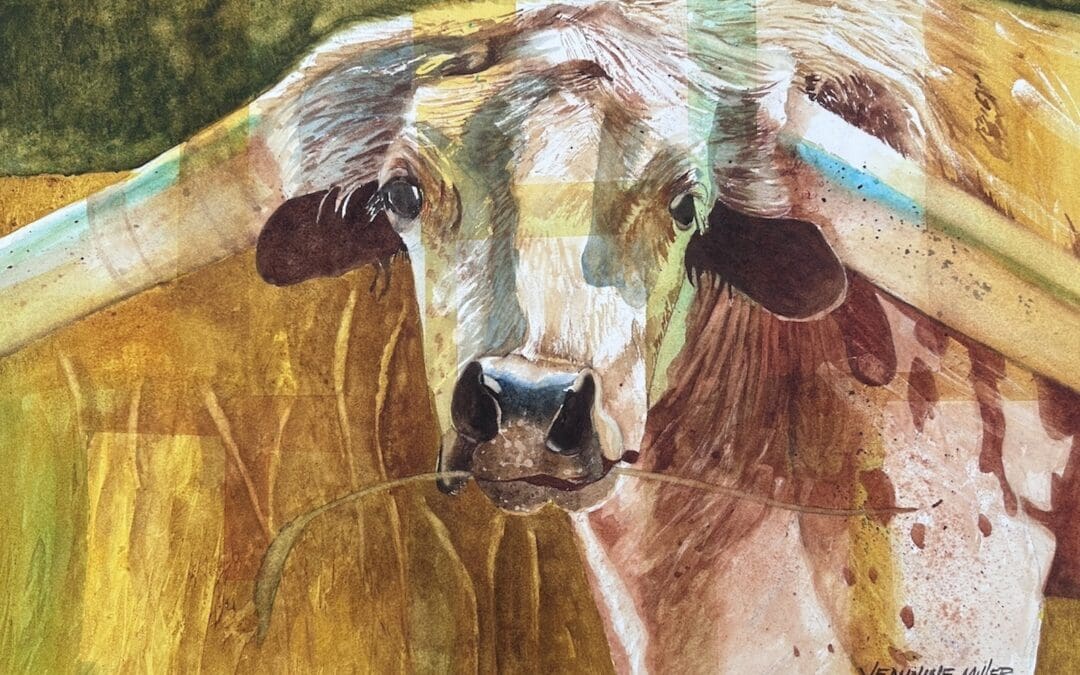 LongHorn Summer