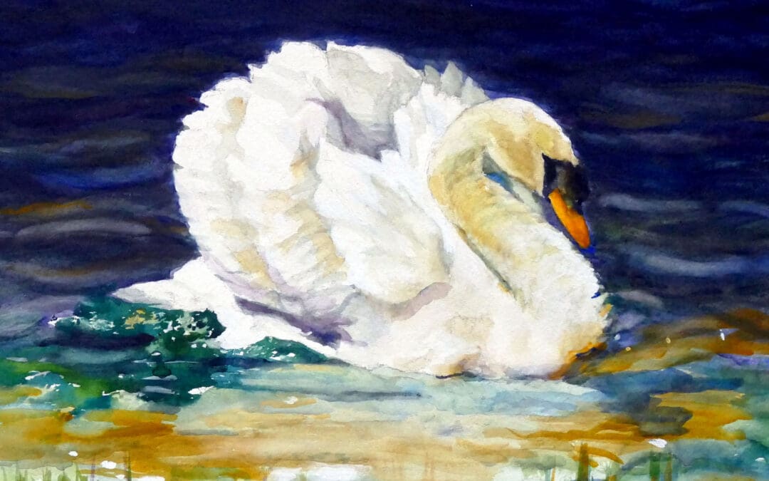 The Swan