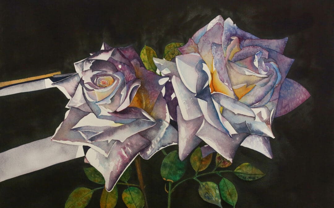 Pam’s white roses